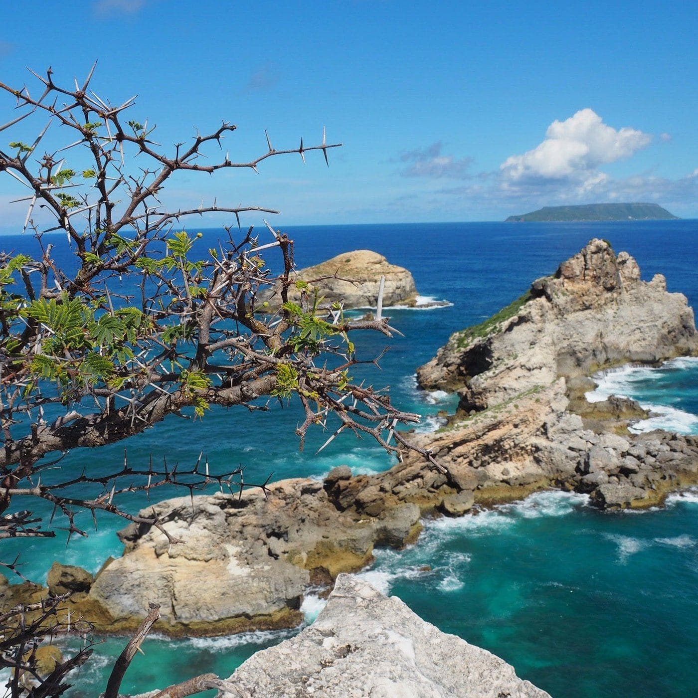 Célébration de la vie de