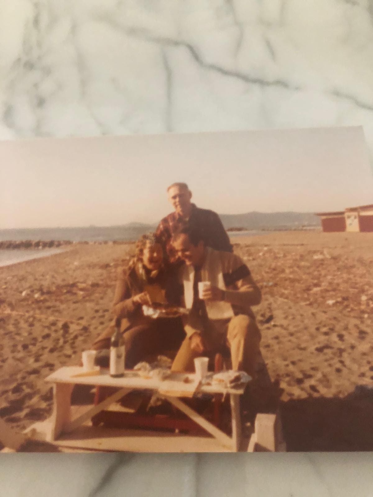 Barbara, Frank & Paul D'Andrea circa 1978-1980