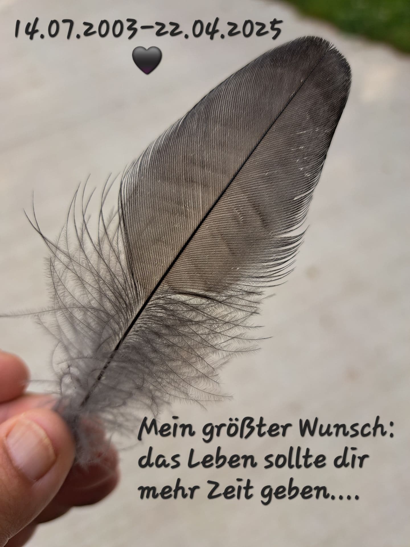 Nie vergessen, die Geschichte von